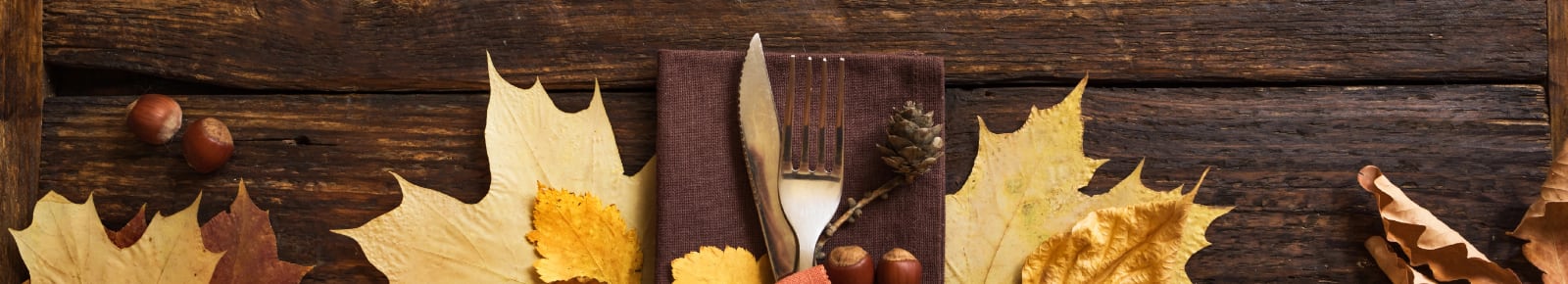 Thanksgiving Events South Bend